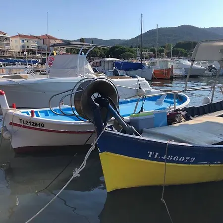 Grand Véranda Et Terrasse *