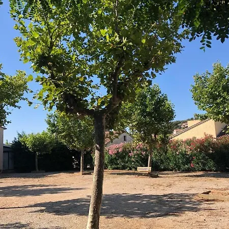 Lägenhet Grand Véranda Et Terrasse *