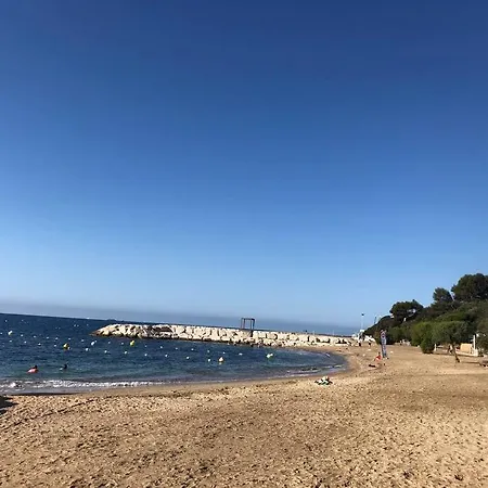 Grand Véranda Et Terrasse